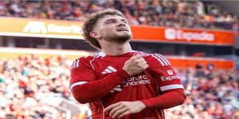 德国转会焦点与亿元级谈判-杏彩体育