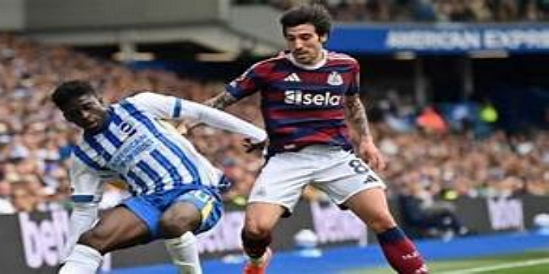 成长轨迹：从冈比亚小球员到英超新星-杏彩体育